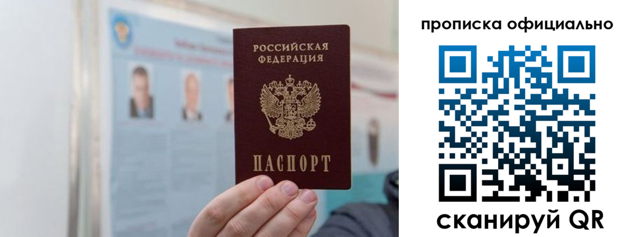 прописка гарантия в Лыткарино
